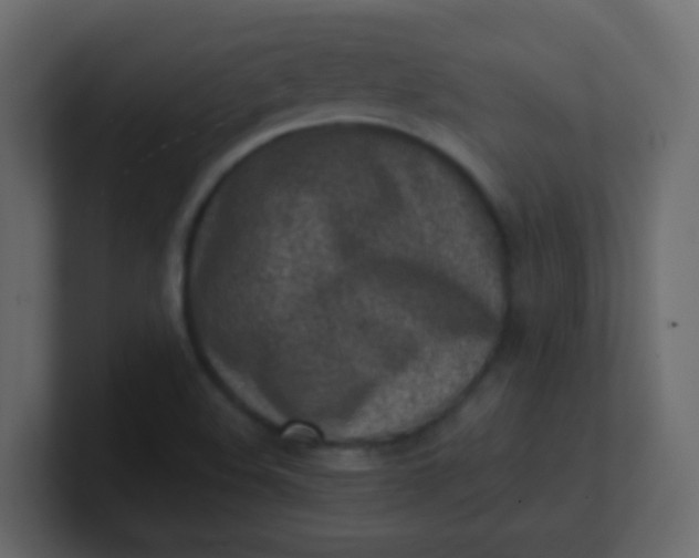 X0000101111508200807101458