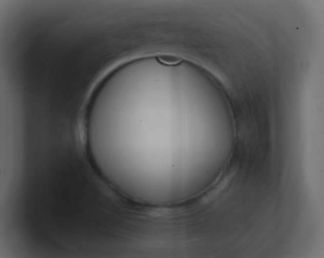 X0000101111510200807101458
