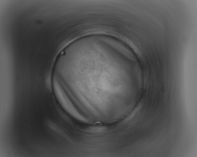 X0000101111513200807101458