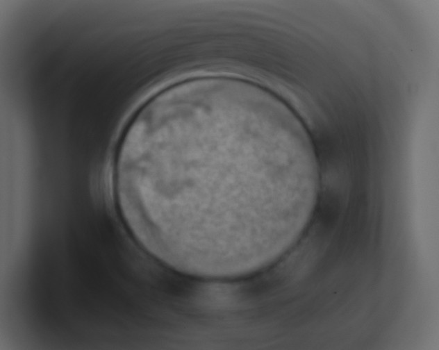 X0000101111514200807101458