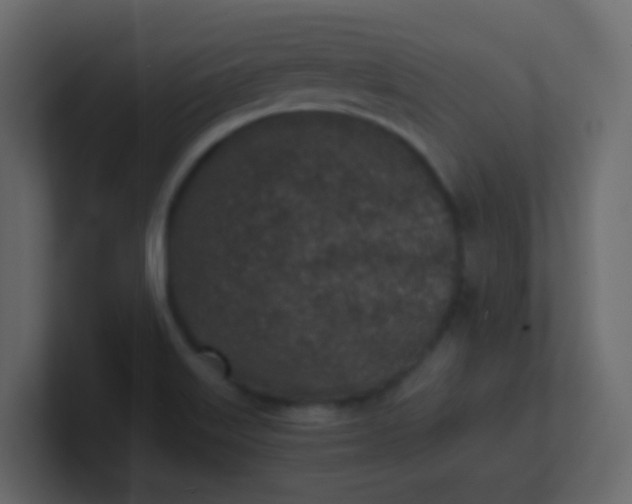 X0000101111515200807101458