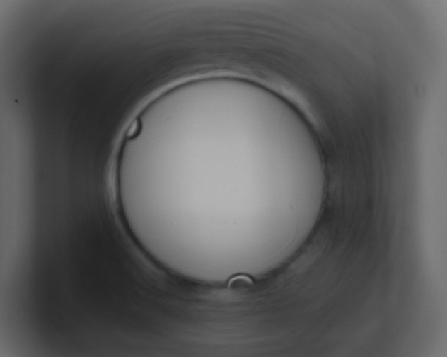 X0000101111516200807101458