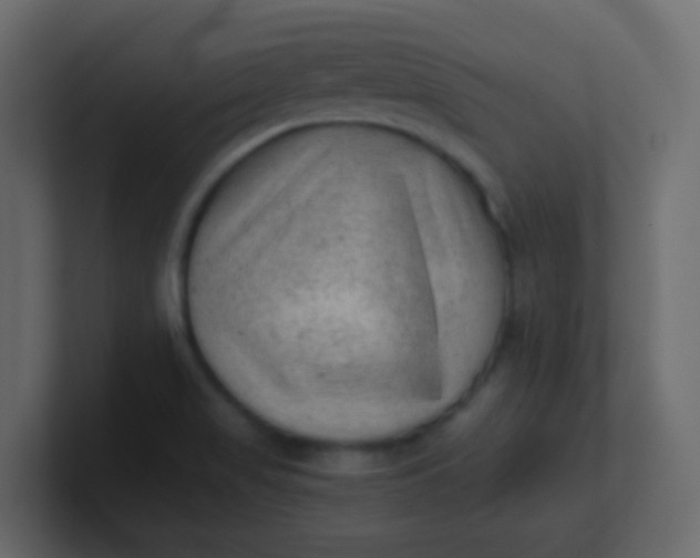 X0000101111517200807101458