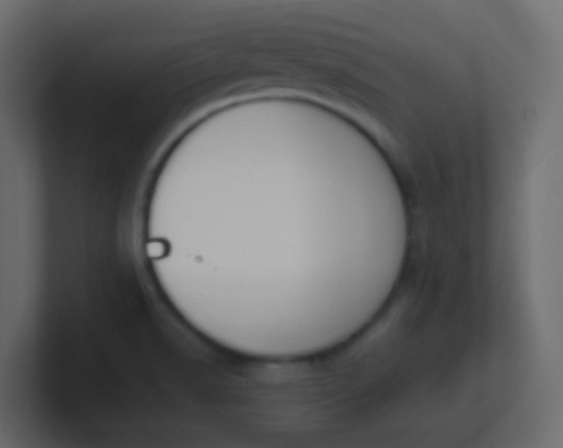 X0000101111518200807101458
