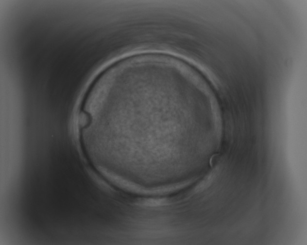 X0000101111519200807101458