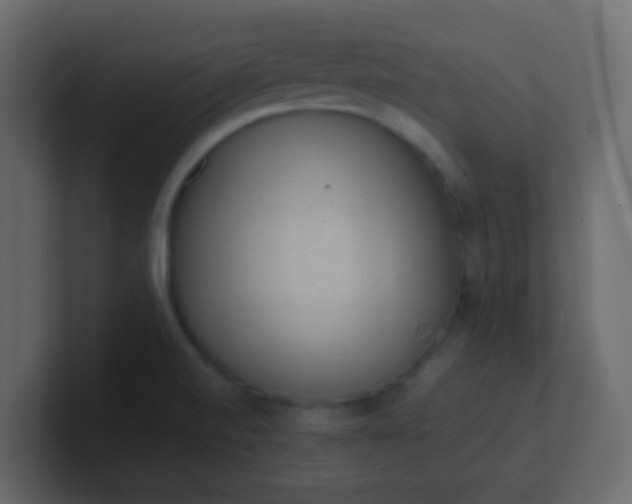 X0000101111520200807101458