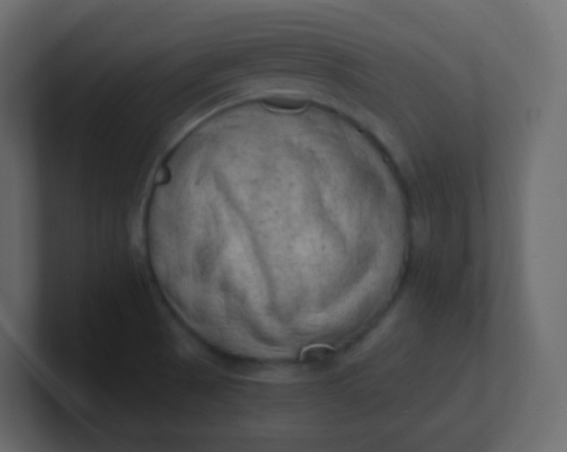 X0000101111521200807101458