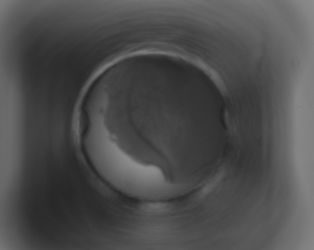 X0000101111522200807101458