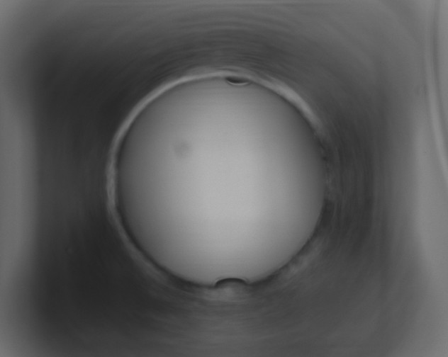 X0000101111524200807101458