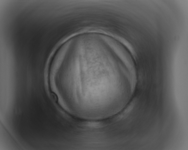 X0000101111525200807101458