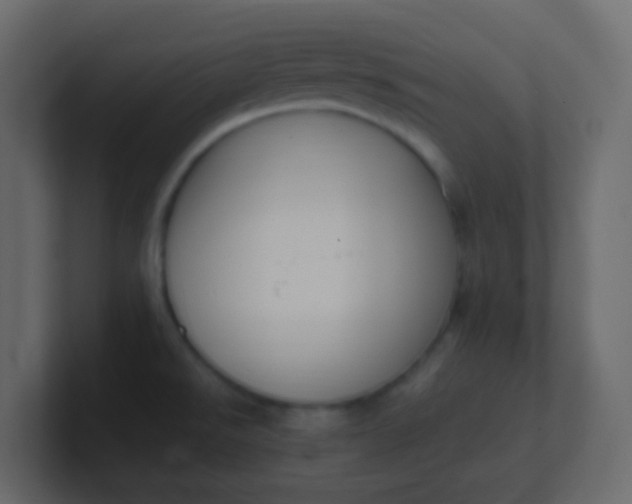 X0000101111526200807101458