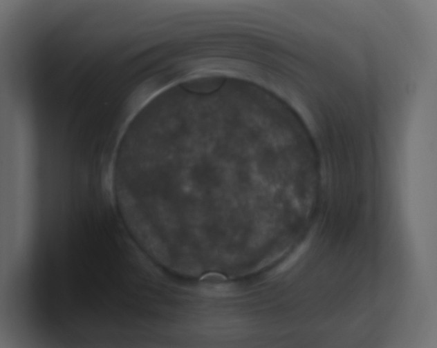 X0000101111529200807101458