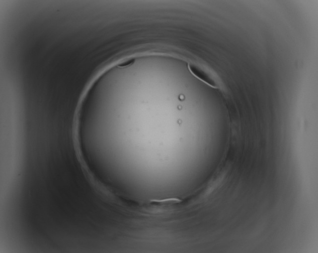 X0000101111530200807101458
