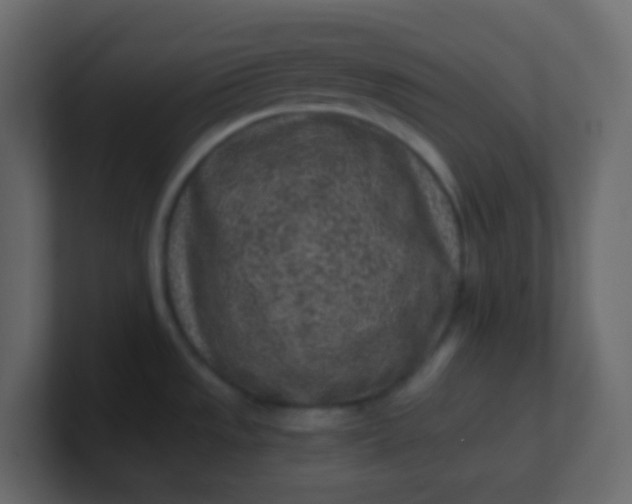 X0000101111533200807101458