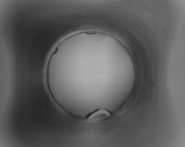 X0000101111536200807101458
