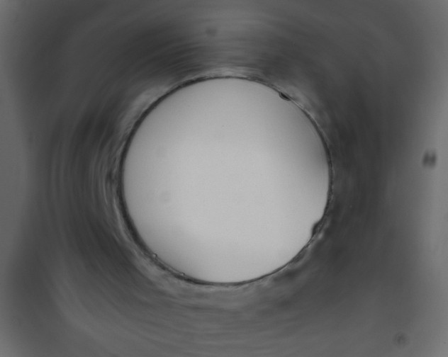 X0000101110001200807171947