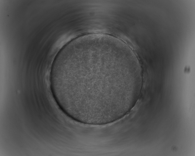 X0000101110002200807171947