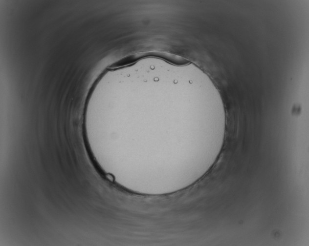 X0000101110003200807171947