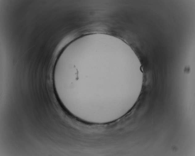 X0000101110004200807171947