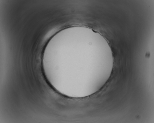 X0000101110005200807171947