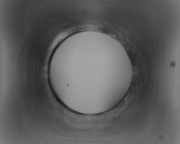 X0000101110006200807171947