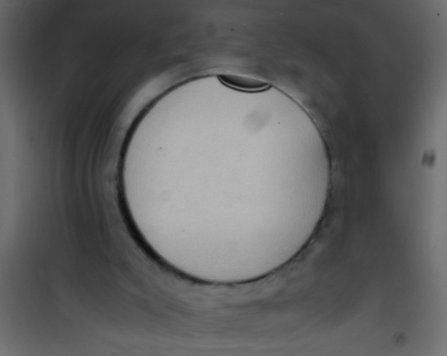 X0000101110007200807171947