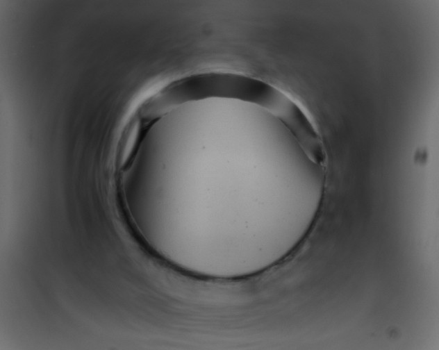 X0000101110008200807171947