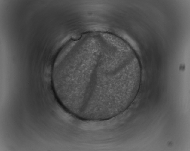 X0000101110009200807171947