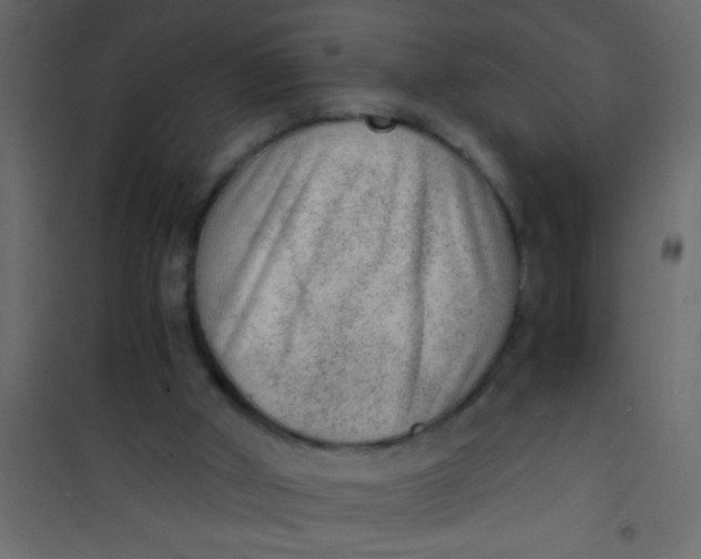 X0000101110010200807171947