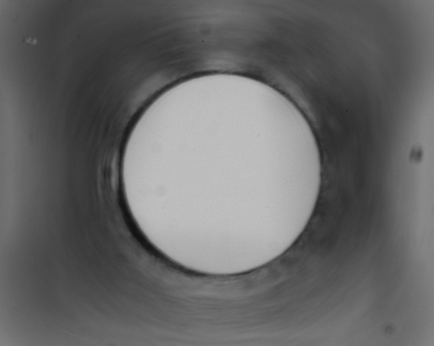 X0000101110011200807171947