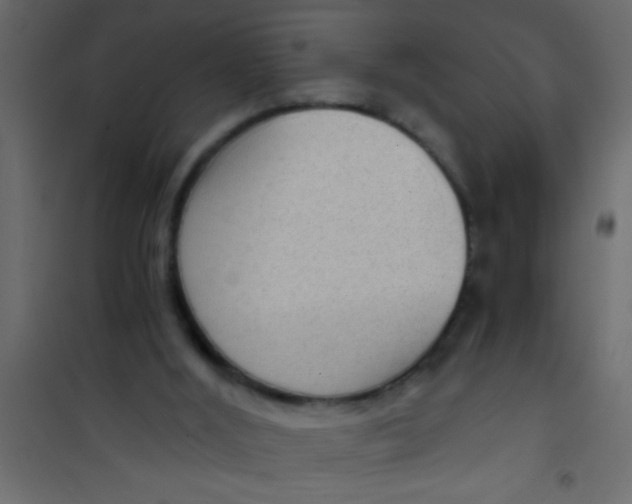 X0000101110012200807171947