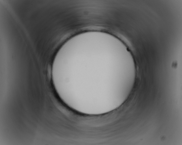 X0000101110013200807171947