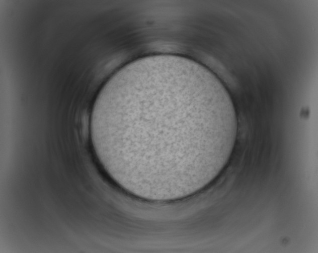 X0000101110014200807171947