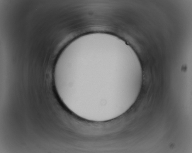 X0000101110015200807171947