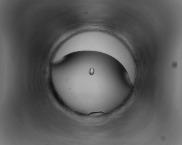 X0000101110016200807171947