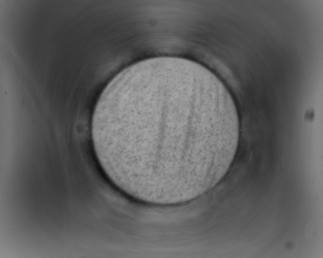 X0000101110017200807171947