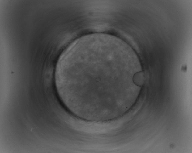 X0000101110018200807171947