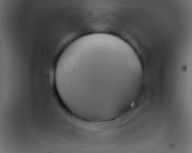 X0000101110019200807171947