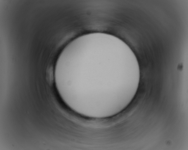 X0000101110020200807171947