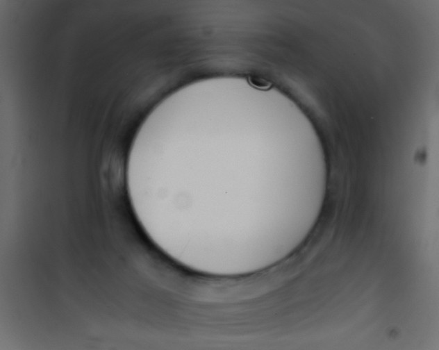 X0000101110021200807171947