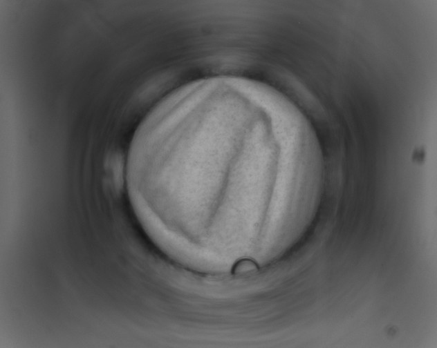 X0000101110022200807171947