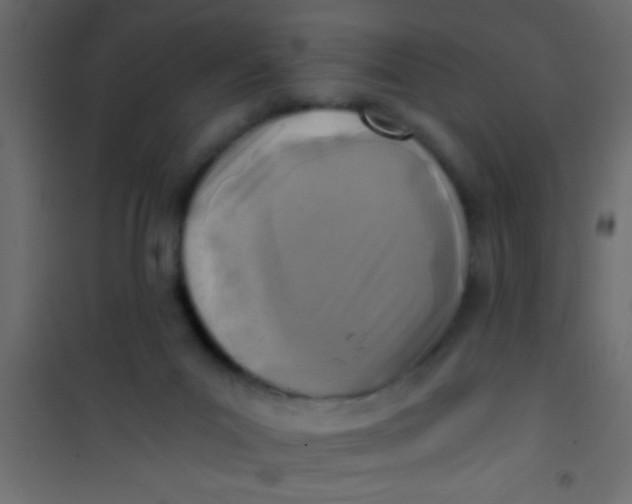 X0000101110023200807171947