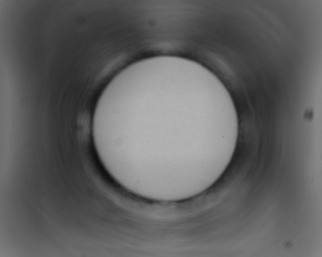 X0000101110024200807171947