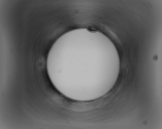 X0000101110025200807171947