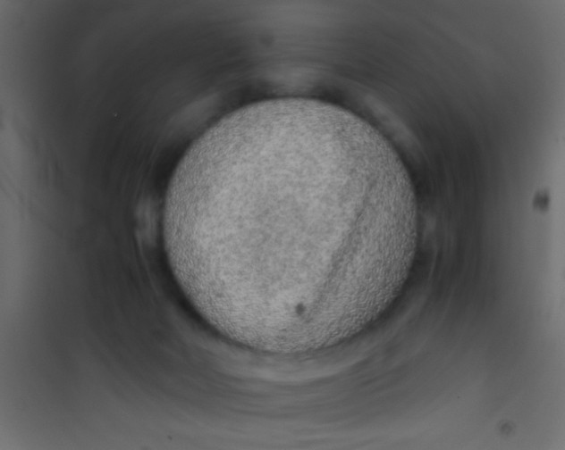 X0000101110026200807171947