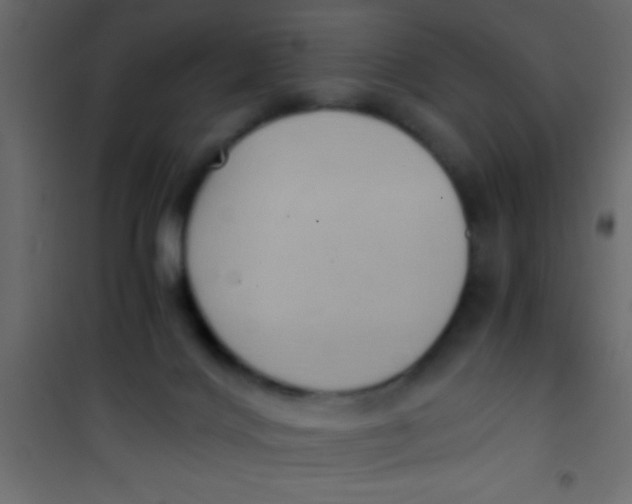 X0000101110028200807171947