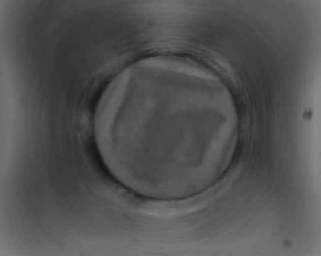 X0000101110029200807171947