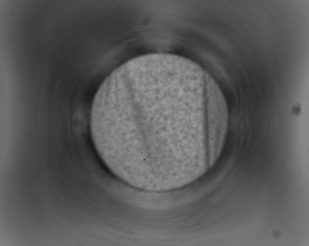 X0000101110030200807171947