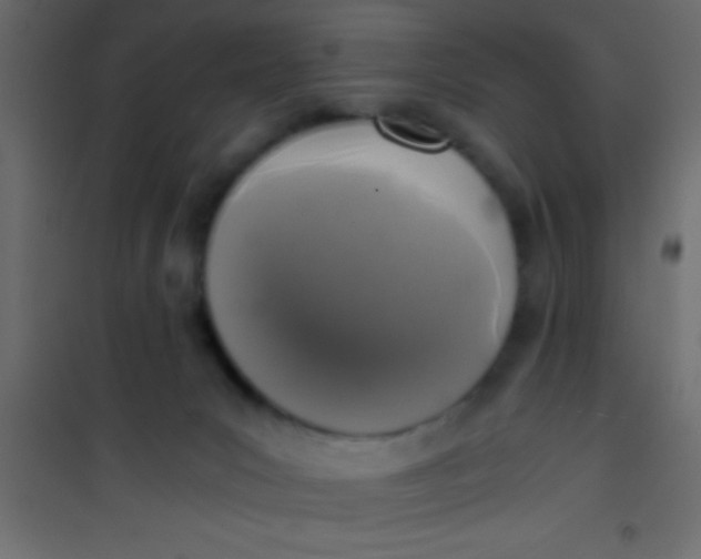 X0000101110031200807171947