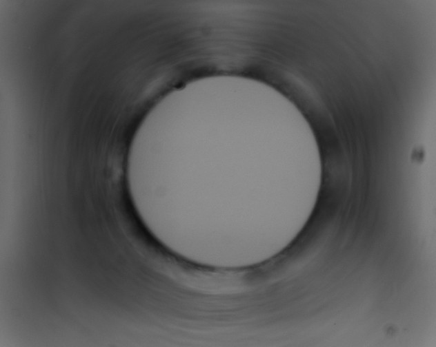 X0000101110032200807171947